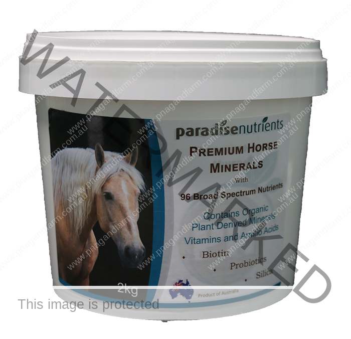 Premium Horse Minerals-1a
